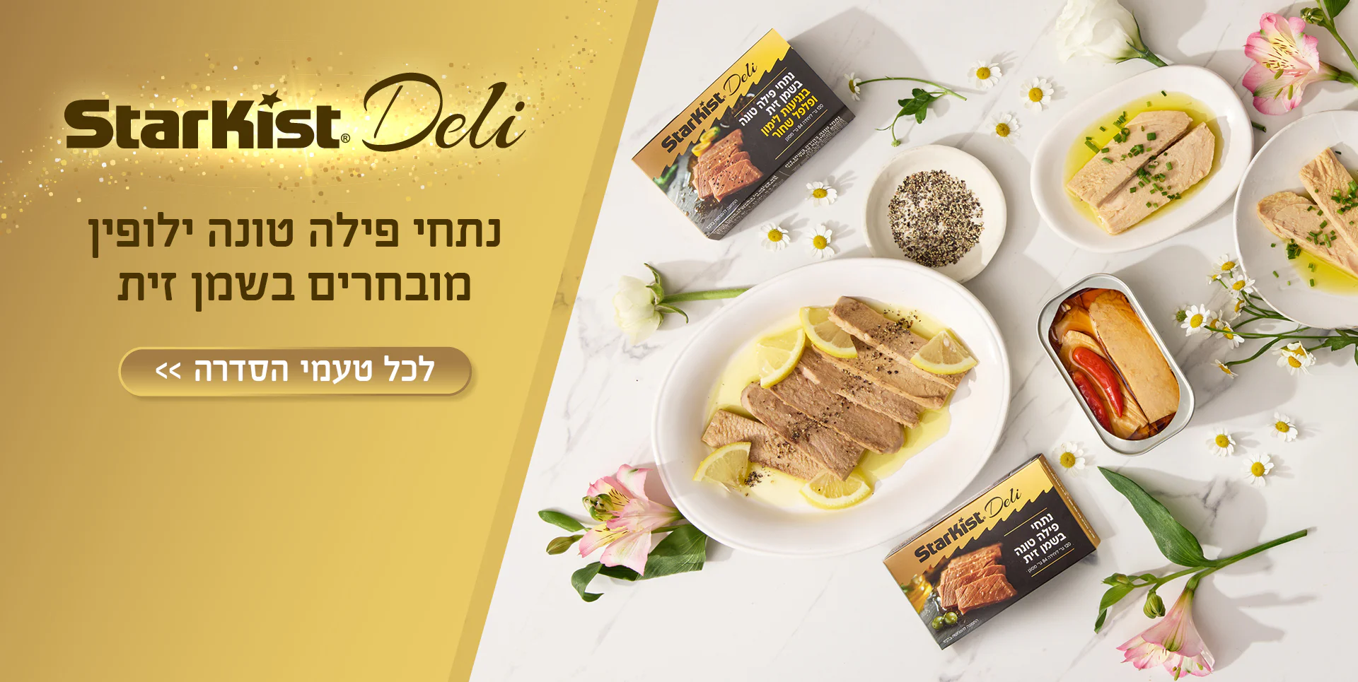 באנר סטארקיסט דלי סליידר ראשי